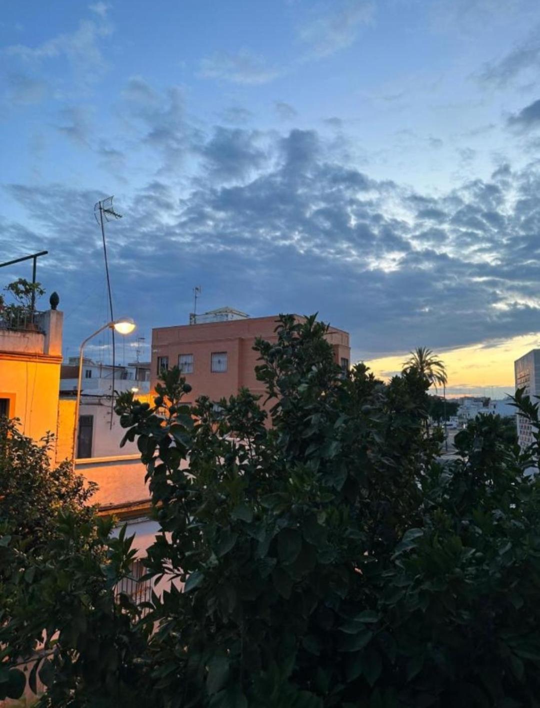 Casa Salma Apartment Seville Exterior photo